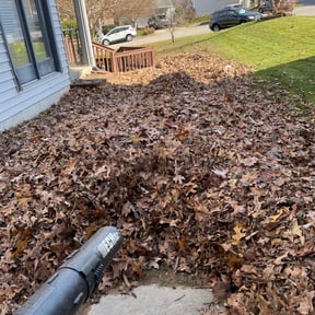 Leaf Removal by The Trusted Edge reviewed on September 8, 2025
