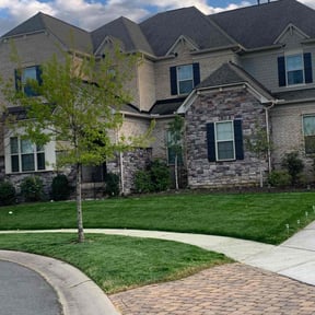 yard care by Mow &amp; Blow Landscaping and More reviewed on November 24, 2025