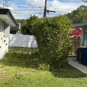 Bush Trimming by Robert and sons' lawn service reviewed on November 21, 2025