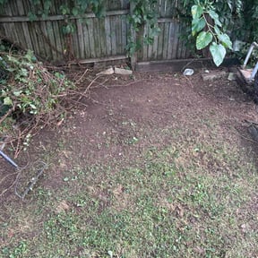 Leaf Removal by Mila Boza reviewed on September 16, 2025