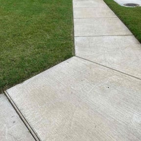 landscaping by Tim King reviewed on August 15, 2025