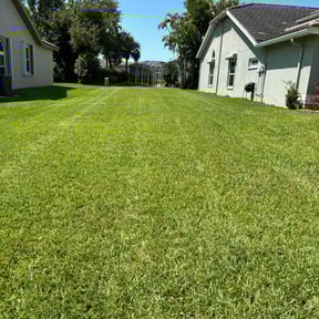 grass cutting by M&M's Lawn Services reviewed on March 30, 2024