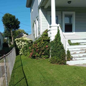 yard care by Transit LLC reviewed on August 15, 2025