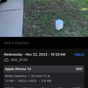 Leaf Removal by Jaime jaimes reviewed on September 28, 2025