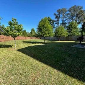 yard care by Vines Lawn Care reviewed on November 25, 2025