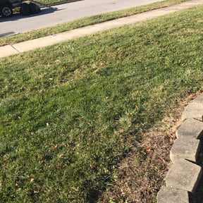 Leaf Removal by Sandra Pagan reviewed on September 11, 2025