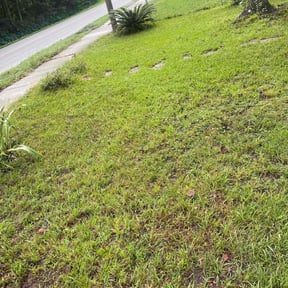 Leaf Removal by Better Price Lawn Service of Central Florida, LLC reviewed on September 6, 2025