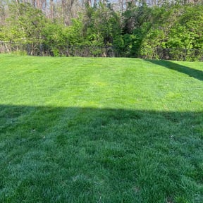 yard work by Top Dog Lawn Care reviewed on May 15, 2024