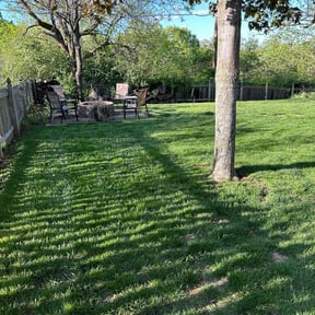 gardening service by K and J Home Services reviewed on December 17, 2025