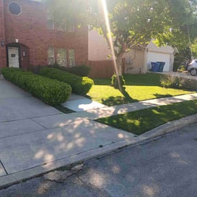 grass cutting by Dorsey's Property Maintenance reviewed on May 14, 2024