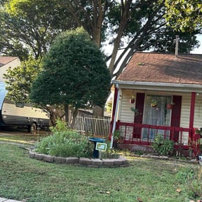 Bush Trimming by Dixon Mow &amp; Trim, LLC reviewed on January 1, 2026