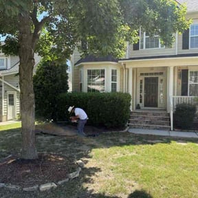 Bush Trimming by Jp lawn care reviewed on June 4, 2026
