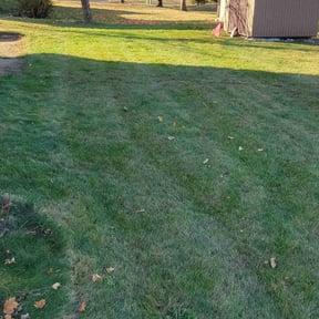 Leaf Removal by 911 Elite Landscaping reviewed on November 23, 2025