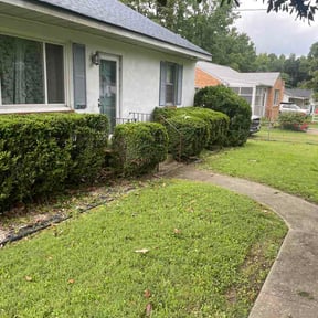 Bush Trimming by Supreme landscaping reviewed on August 6, 2026