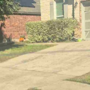 Bush Trimming by Strickland family Hardscapes reviewed on December 11, 2025