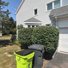 Bush Trimming by Chavez construction &amp; landscaping reviewed on August 6, 2026