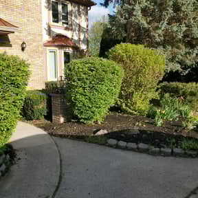 Bush Trimming by Git-R-Dunn Lawn Care reviewed on August 16, 2025