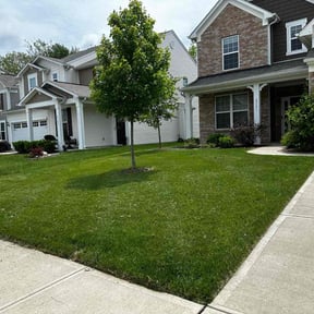 gardening service by T and C Landscaping reviewed on May 17, 2024