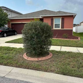 Bush Trimming by Gs lawn care reviewed on July 14, 2026