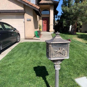 gardening service by Zeroslandscape reviewed on August 16, 2025
