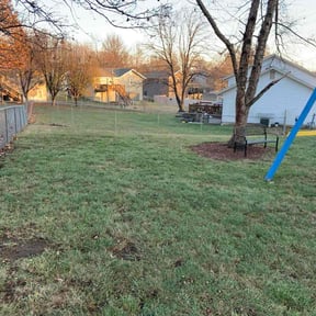 Leaf Removal by Ivy Lawn Care LLC reviewed on August 2, 2026