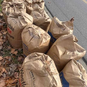 Leaf Removal by Emerald Green Lawn Care LLC reviewed on December 18, 2025