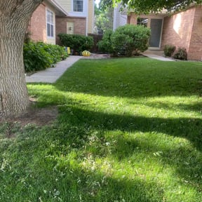 residential landscaping by Greenview Lawn Solutions llc reviewed on November 27, 2025