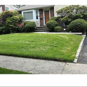 Leaf Removal by Hopkins Grassworks reviewed on June 26, 2026
