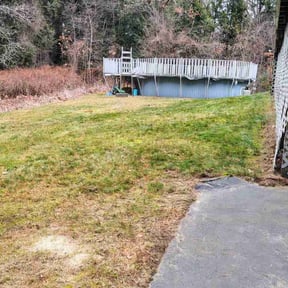 Leaf Removal by E&amp;B landscaping reviewed on September 2, 2026
