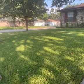 yard service by Chavez Landscaping reviewed on December 2, 2024