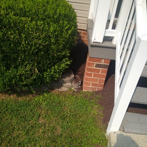 Flower Bed Weeding by Candanoza Lawn Service reviewed on August 19, 2025