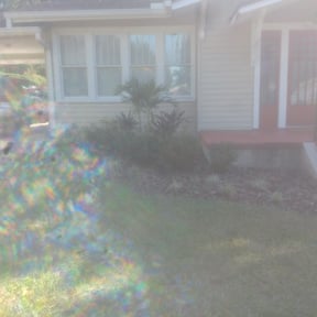 Bush Trimming by Home services reviewed on August 20, 2025