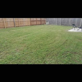 lawn care by BluGrass Groomers Lawn Care reviewed on January 21, 2024