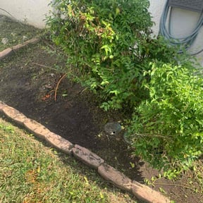 Flower Bed Weeding by MB lawn care reviewed on November 7, 2025