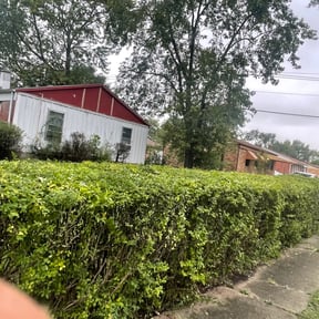 Bush Trimming by Tony Lawn Service  reviewed on April 29, 2023