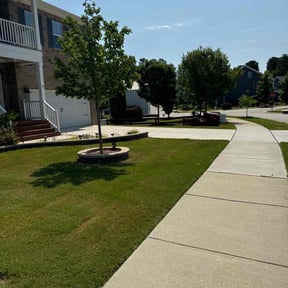 yard maintenance by Newman and Son Lawncare reviewed on November 19, 2025