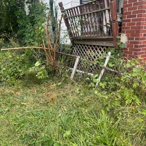 Bush Trimming by Frank's lawncare reviewed on August 23, 2026