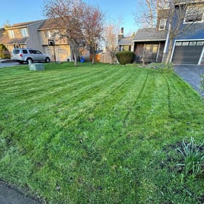 lawn care services by Cohen Lawn &amp; Landscaping reviewed on April 21, 2024