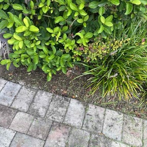 Flower Bed Weeding by 365 All Seasons Maintenance reviewed on September 17, 2026