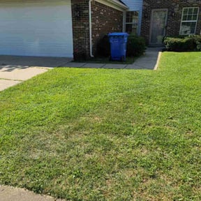 turf care by 121 successful solutions llc reviewed on April 17, 2024