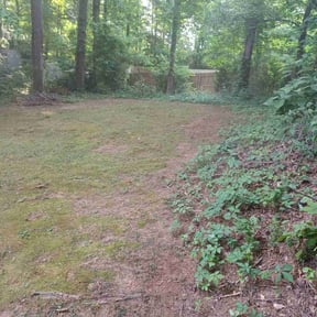 Leaf Removal by Get it done by jimmy reviewed on August 16, 2025