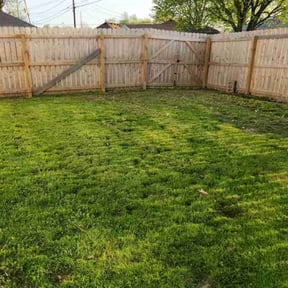 Leaf Removal by CadeAndKids LLC reviewed on September 27, 2025