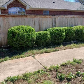 Bush Trimming by Access LawnCare reviewed on April 25, 2026