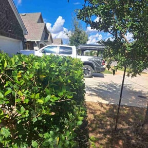 Bush Trimming by Kumbayah Garden reviewed on December 15, 2025