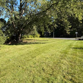 yard service by Moncada's Lawn Care reviewed on August 15, 2025