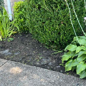Flower Bed Weeding by Totolapan Lawn care reviewed on September 3, 2026