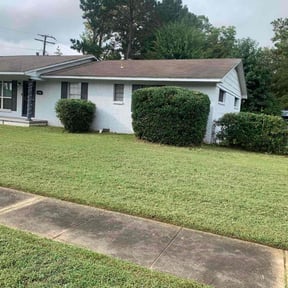 Bush Trimming by P Outdoor reviewed on October 18, 2025