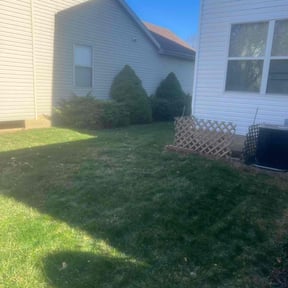 Leaf Removal by Carbon Dioxide Recyclers reviewed on August 19, 2025