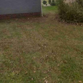 Leaf Removal by shrubsandmorebyc&amp;b reviewed on November 4, 2025