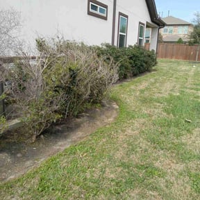 Flower Bed Weeding by Fiechtner Landscape Services reviewed on August 14, 2025